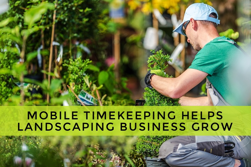 Case Study: Landscaping Business